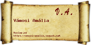 Vámosi Amália névjegykártya